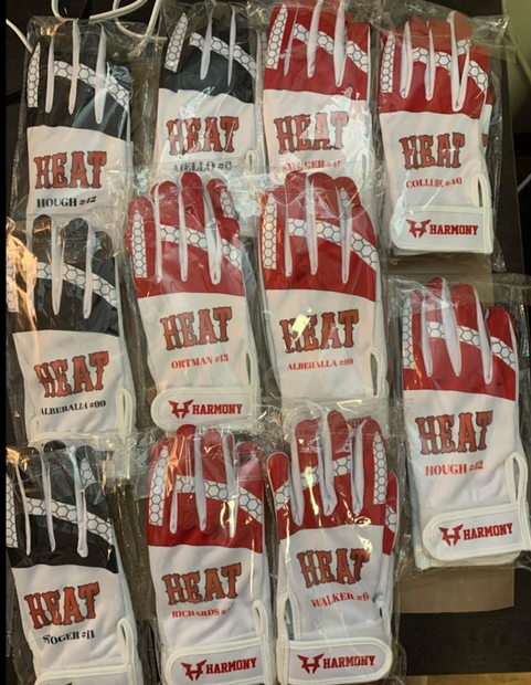 Batting Gloves