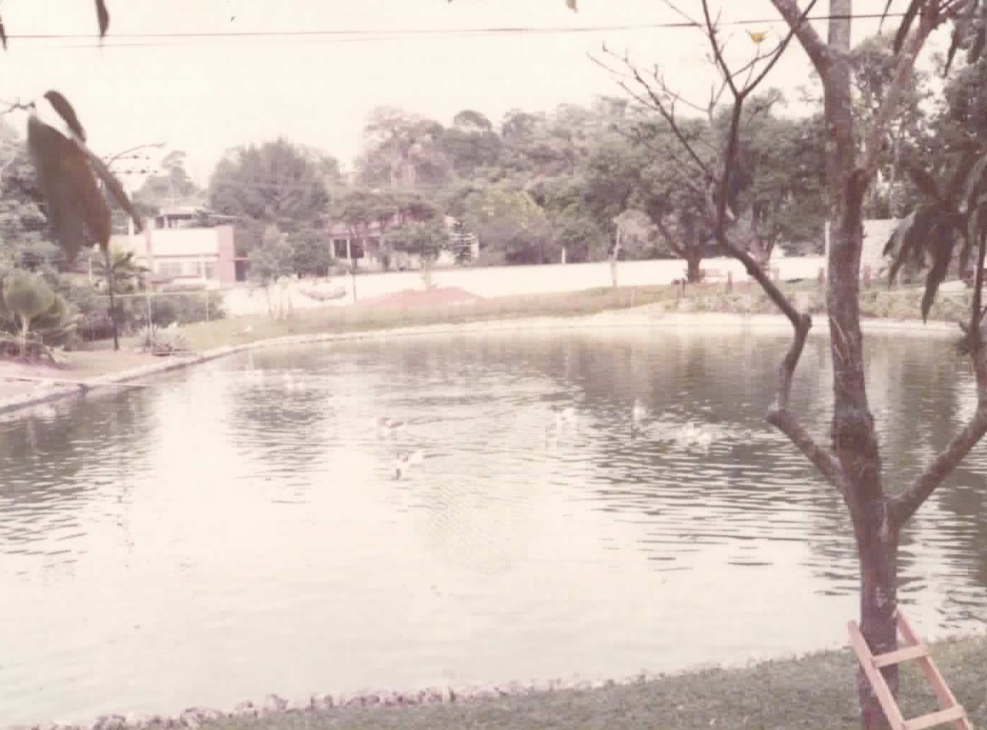 Sede Campestre