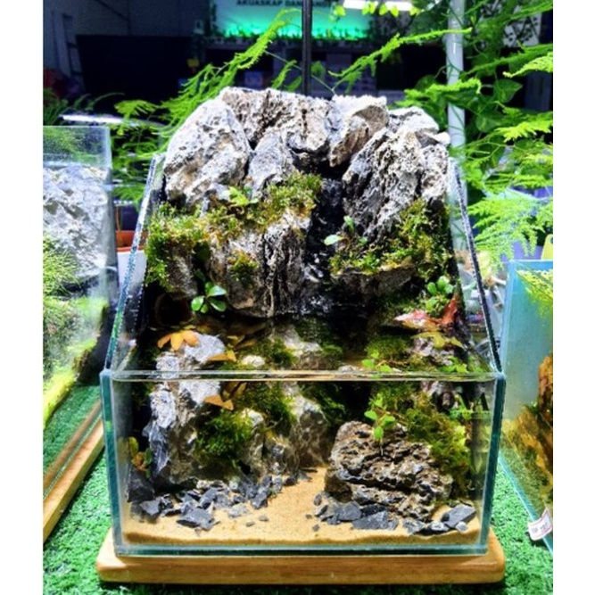 Thumbnail: Rio Congo Sustrato Premium Aquarium Substrate Sand Pasir Akuarium