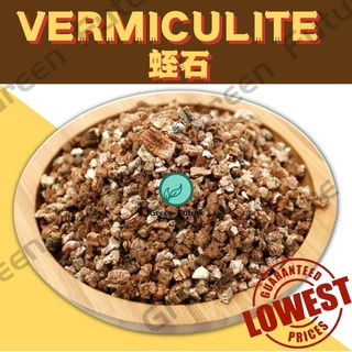 Vermiculite 蛭石 SUCCULENT CACTUS STONE