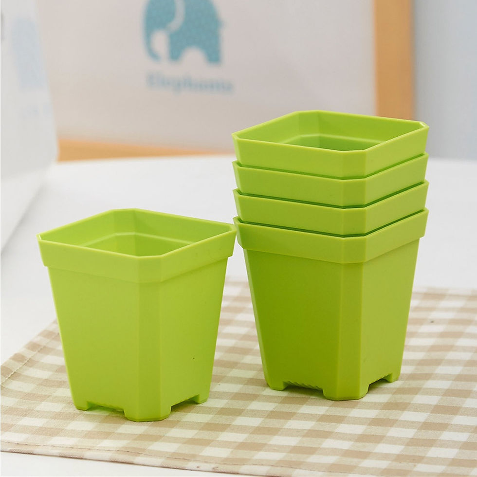 Thumbnail: COLORFUL SUCCULENT CACTUS  SQUARE PLASTIC POT PASU MINI PLASTIK 彩色四方盆 多肉盆 仙人掌盆