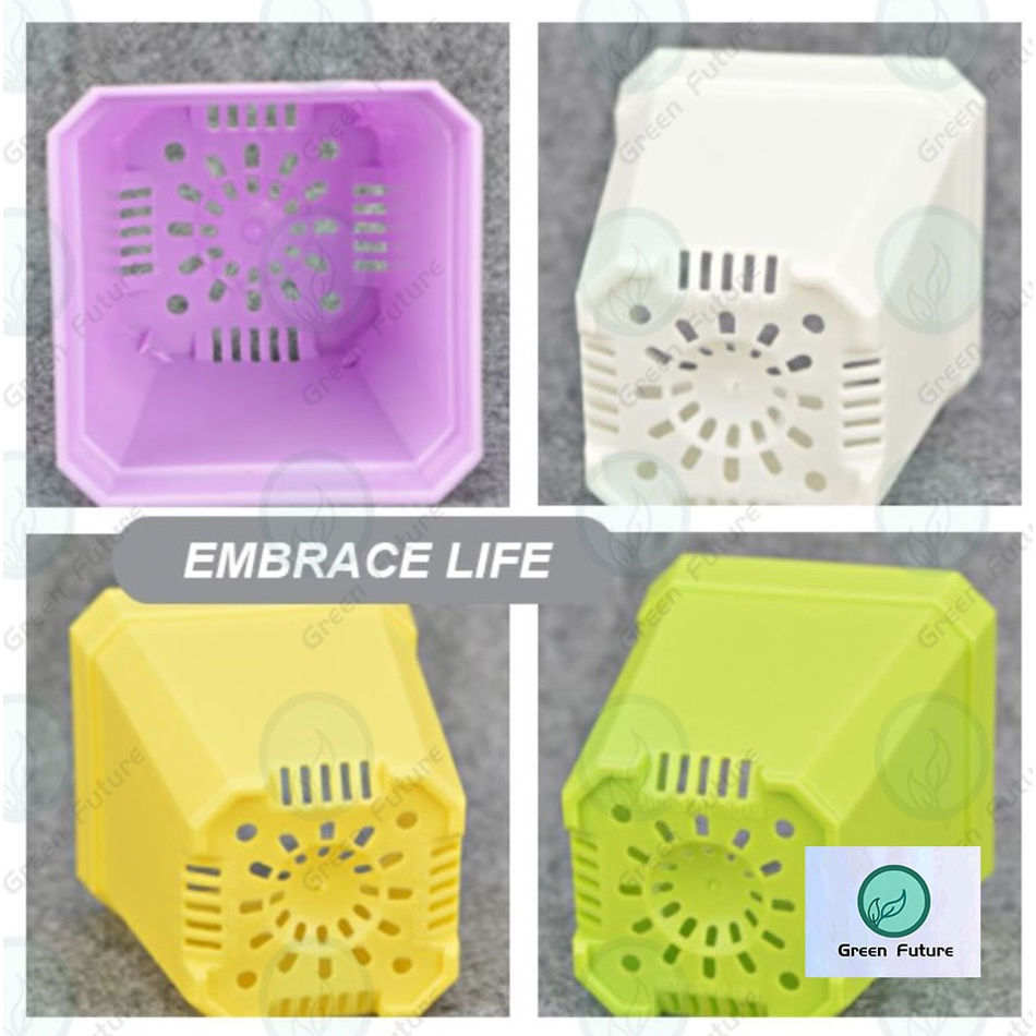 Thumbnail: COLORFUL SUCCULENT CACTUS  SQUARE PLASTIC POT PASU MINI PLASTIK 彩色四方盆 多肉盆 仙人掌盆