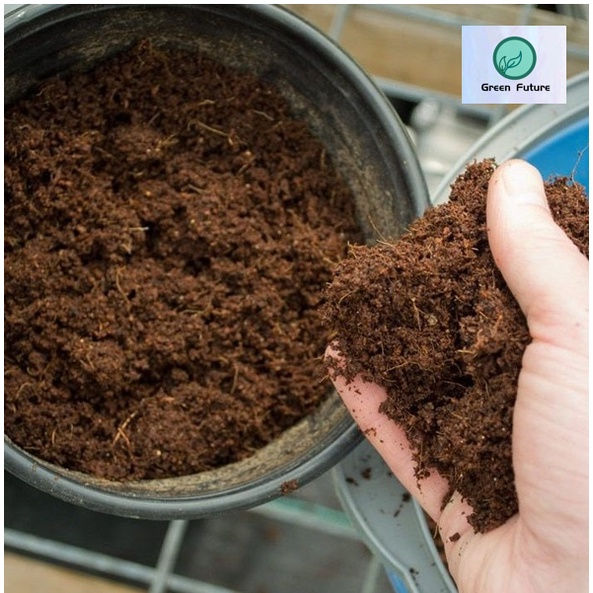 Thumbnail: 1GUNI 80LITRE PEATMOSS HOLLAND 荷兰进口高质量泥炭土