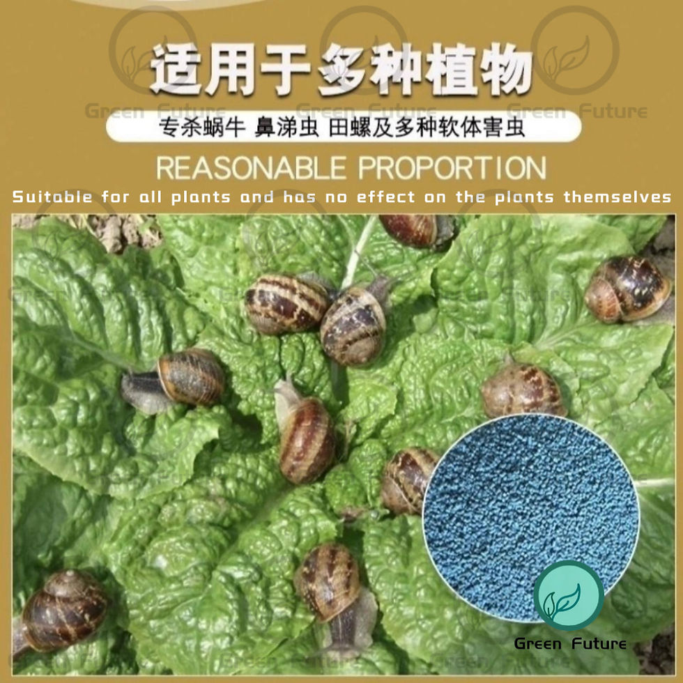 Thumbnail: 蜗牛杀手 Snail Killer