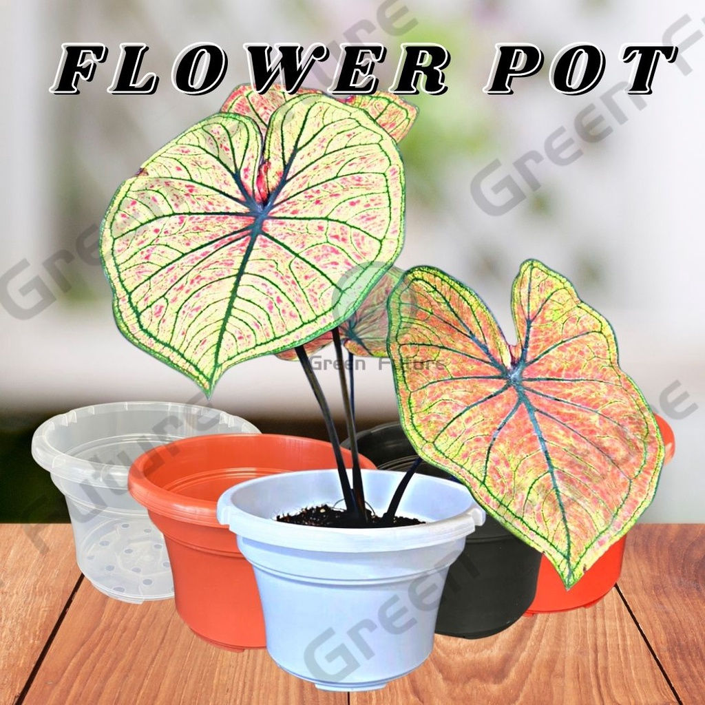 21CM OCTO HANGING PLASTIC FLOWER POT PASU BUNGA PLASTIK GARDEN 花盆 透明花盆