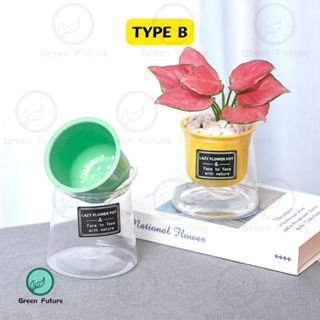Thumbnail: 小花盆 懒人自动吸水 Self Watering Pot Flower Pot Pasu Bunga High Transparent 懒人花盆 自动浇水