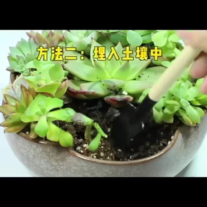 Thumbnail: 护花神 呋虫胺颗粒剂 Gardening Insectide