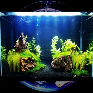 Thumbnail: Aquarium Black Sand  Pasir Hitam Cantik A Class Crystal Black Sand 黑金砂  黑金沙 鱼缸沙