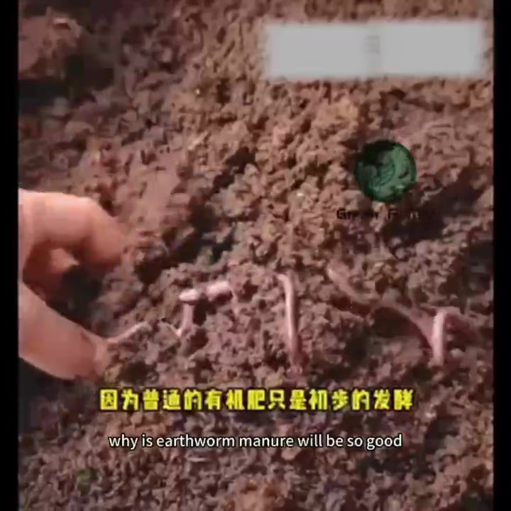 Thumbnail: Vermicompost Baja Organik Cacing