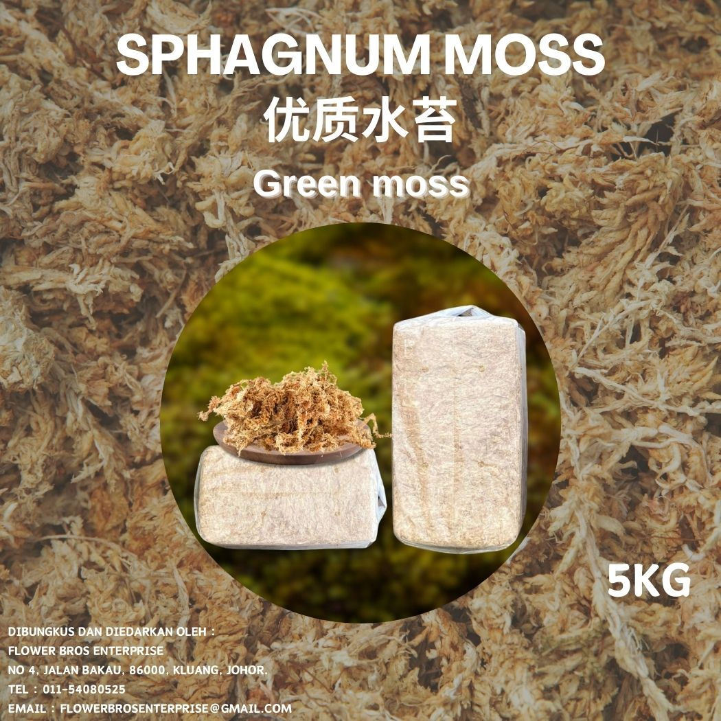 5KG优质水苔 Sphagnum Moss