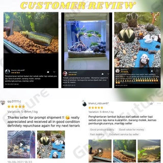 Thumbnail: 黑火山石  BLACK LAVA ROCK Batu Gunung Berapi Pasir Malang Volcanic Stone