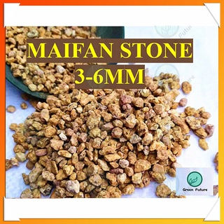 1 KG MAIFANITUM BONSAI SUCCULENT CACTUS SOIL麦饭石