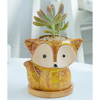 Thumbnail: 狐狸花盆 Creative Cartoon Ceramic Flower Pot Small Fox Succulent Plant Pot