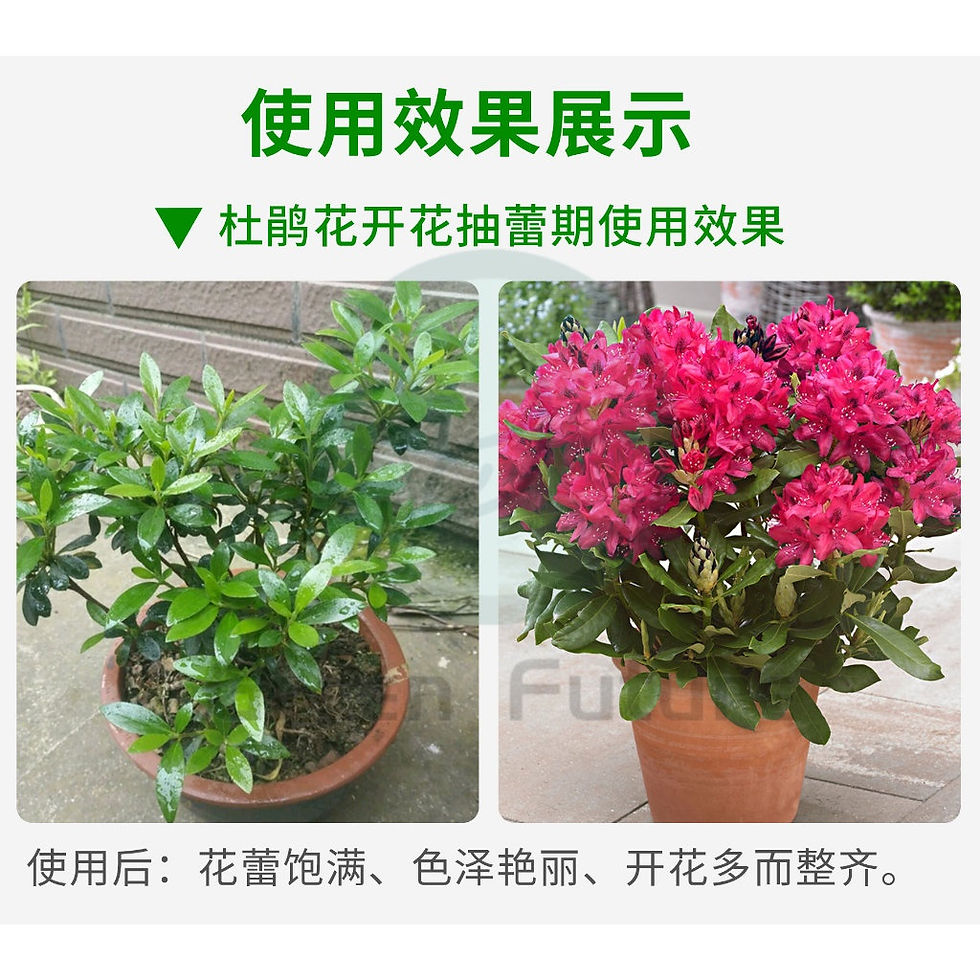 Thumbnail: 磷酸二氢钾 Potassium Dihydrogen Phosphate Plant Flower Fertilizer