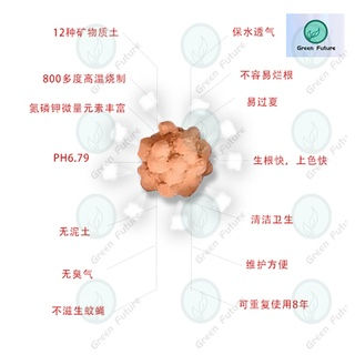 Thumbnail: 1KG MULTI FOR SUCCULENTS SUCCULENT SOIL 多元土