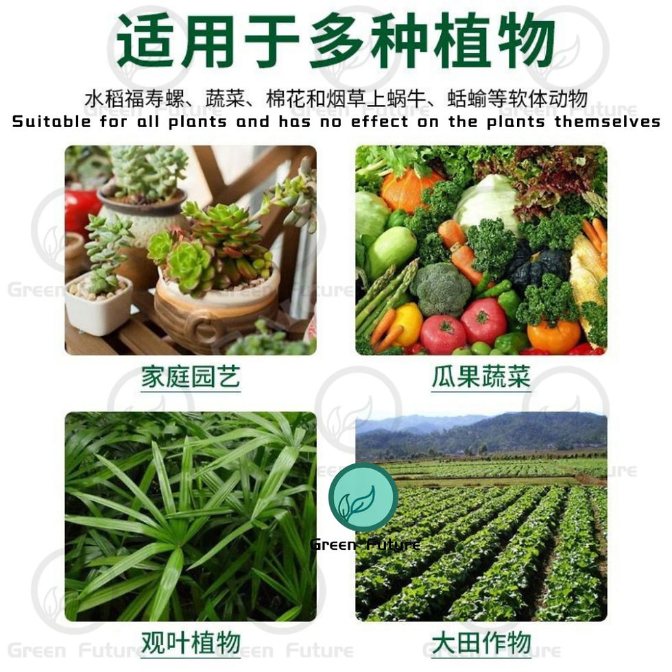 Thumbnail: 蜗牛杀手 Snail Killer