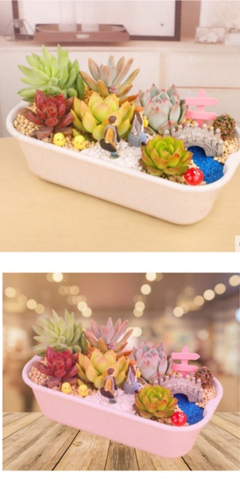 Thumbnail: 植物纤维多肉花盆Plant Fibre Planter Box Garden  pot Yard Micro  Flower Succulent  Plant