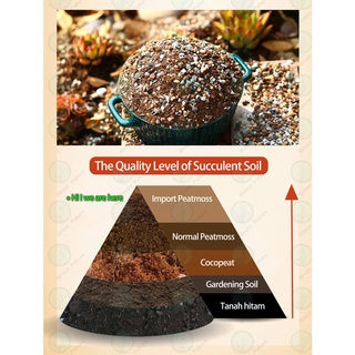 Thumbnail: Succulent Mix Soil 多肉专用土