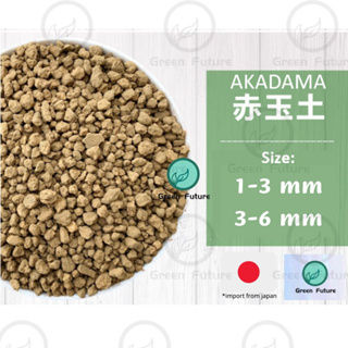 1 Litre JAPAN AKADAMA 日本赤玉土 多肉赤玉土