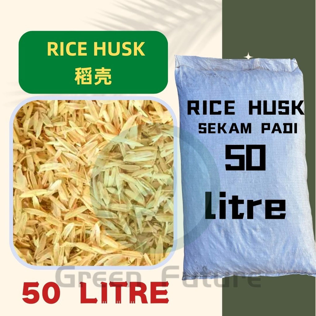 BORONG WHOLESALE RICE HUSK SEKAM PADI MENTAH / RICE HUSK BERKUALITI TINGGI 稻米壳