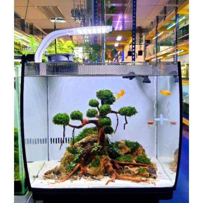 Thumbnail: Sustrato Premium Aquarium Substrate Sand Pasir Akuarium 鱼缸砂 化妆沙 垫底沙