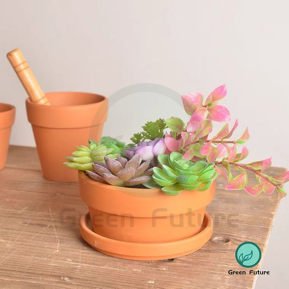 Thumbnail: 【6 SIZE SHORT SERIOUS】 RED POTTERY CLAY POT SUCCULENT FLOWER POT  红陶盆 多肉植物陶瓷花盆