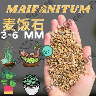 Thumbnail: 24KG WHOLESALES MAIFAN STONE MAIFANITUM BONSAI SUCCULENT麦饭石