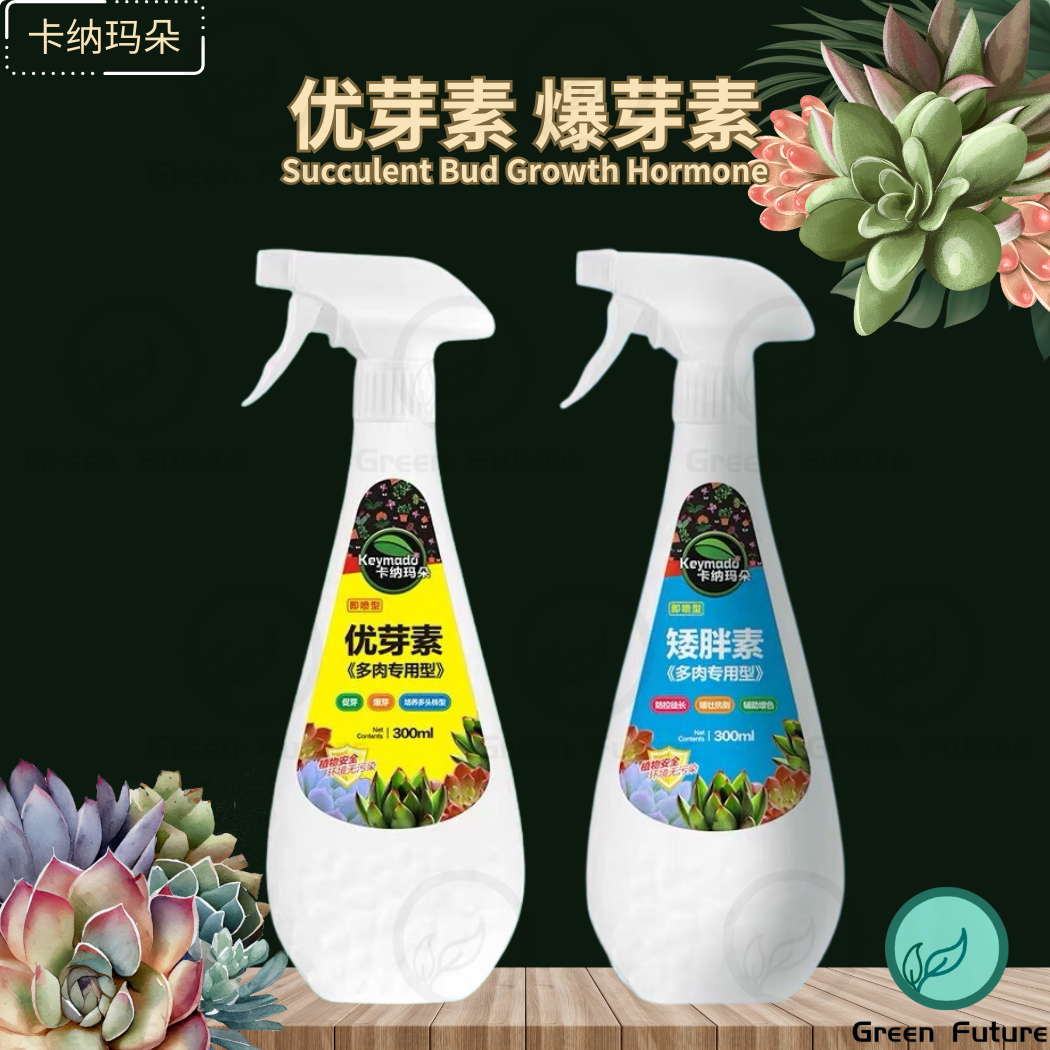 卡纳玛朵多 优芽素 矮胖素 Eugenin blastocyst succulent fertilizer