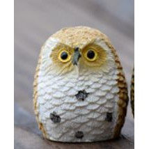 Thumbnail: 短羽毛猫头鹰盆栽摆件 Short-feathered Owl Potted Plant Decoration Bonsai Cake Mini Cute