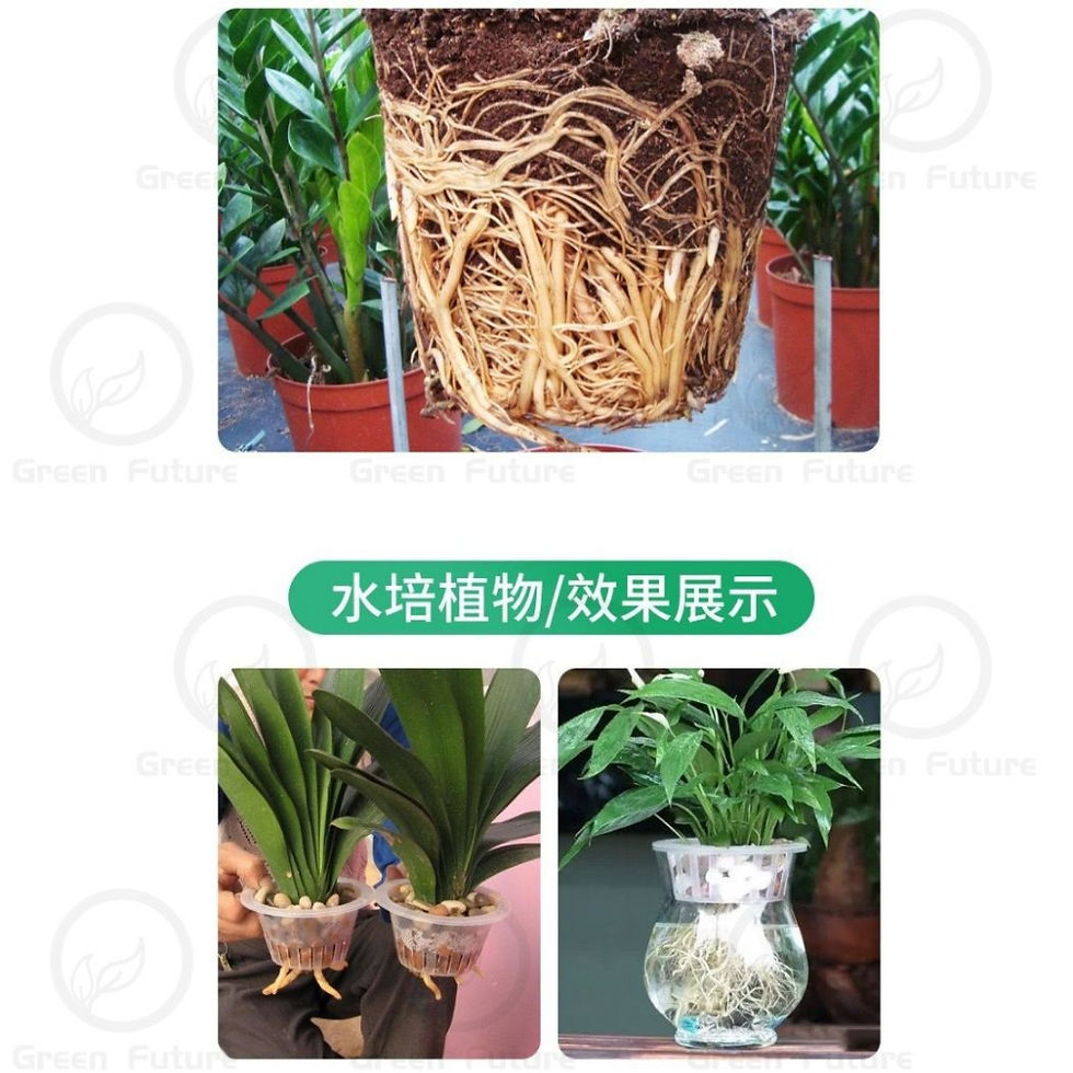 Thumbnail: Plant Rooting Powder 生根粉