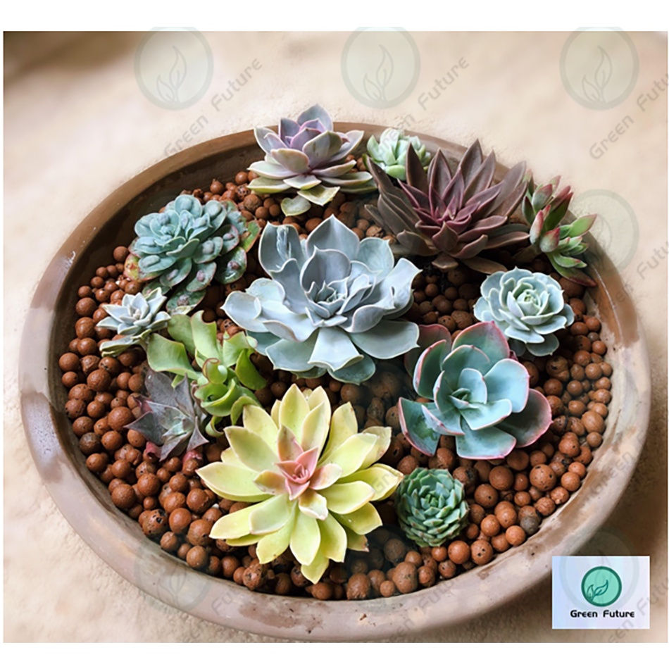 Thumbnail: 50 LITRE whosesales Hydro Stone Clay Pebbles Clay Ball Leca 陶粒