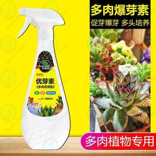 Thumbnail: 卡纳玛朵多 优芽素 矮胖素  Eugenin blastocyst succulent fertilizer