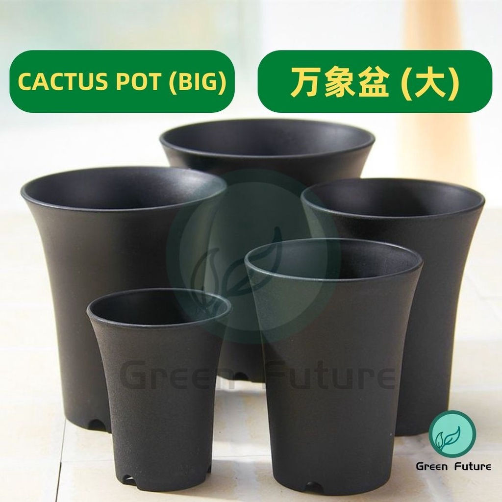 【BIG】Round Thick Tall Plastic Pots succulent pot cactus flower pot 圆形 万象盆 花盆万象盆