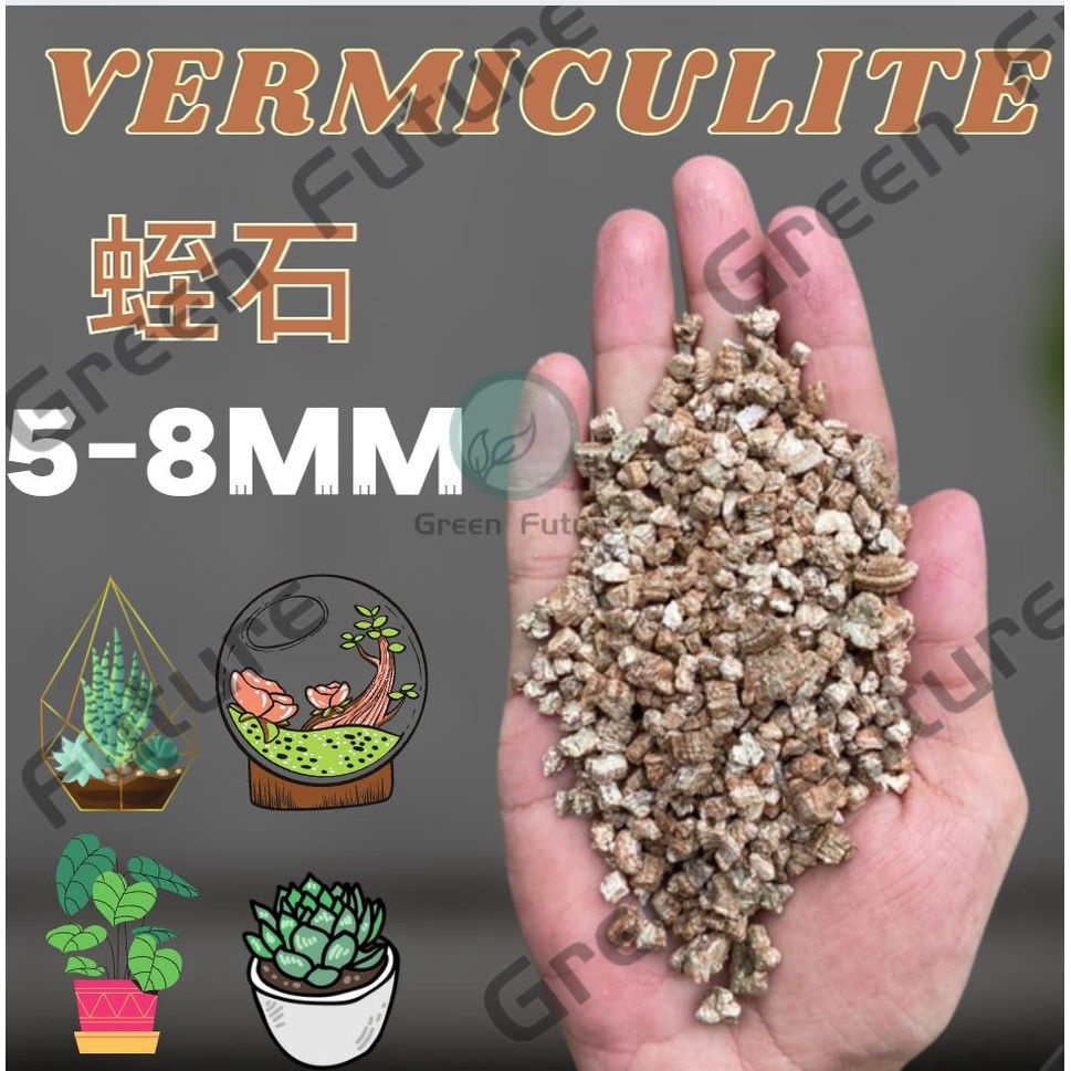 Thumbnail: Vermiculite 蛭石 SUCCULENT CACTUS STONE