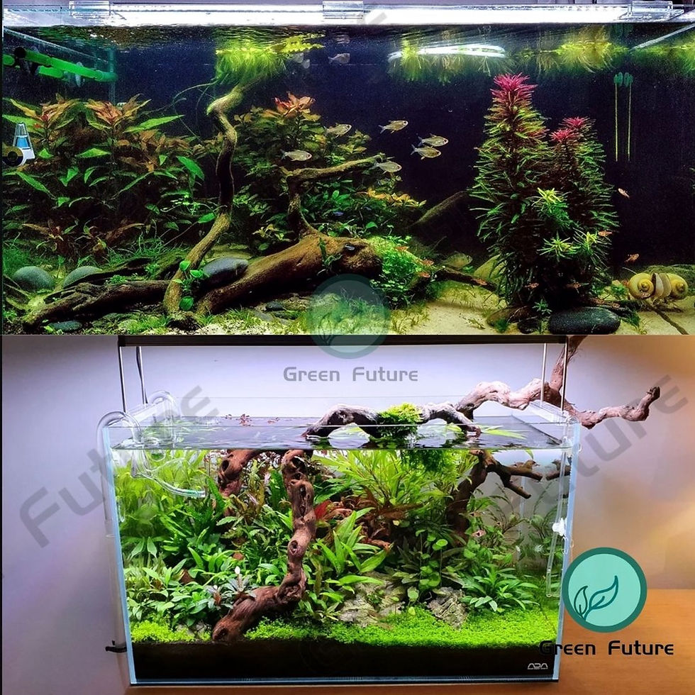 Thumbnail: 水草泥 Aquarium  AQUA Amazon Soil for Aquarium Planted Tank Water Plant Soil Sand