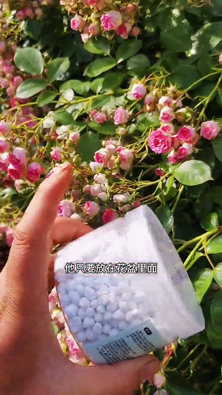 Thumbnail: 魔肥 Slow Release Flowering Fertilizer