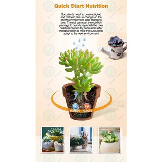 Thumbnail: READY MIX SUCCULENT SOIL CACTUS SOIL TANAH 多肉植专用培养土
