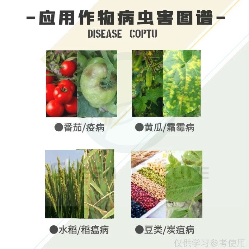 Thumbnail: 百菌清 Fungicides Chlorothalonil/ Ubat Kuman Chlorothalonil