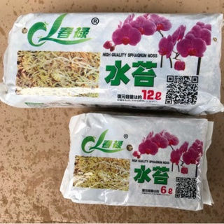 Thumbnail: HIGH QUALITY SPHAGNUM MOSS ORCHID GARDEN PLANT 水苔 兰花水苔