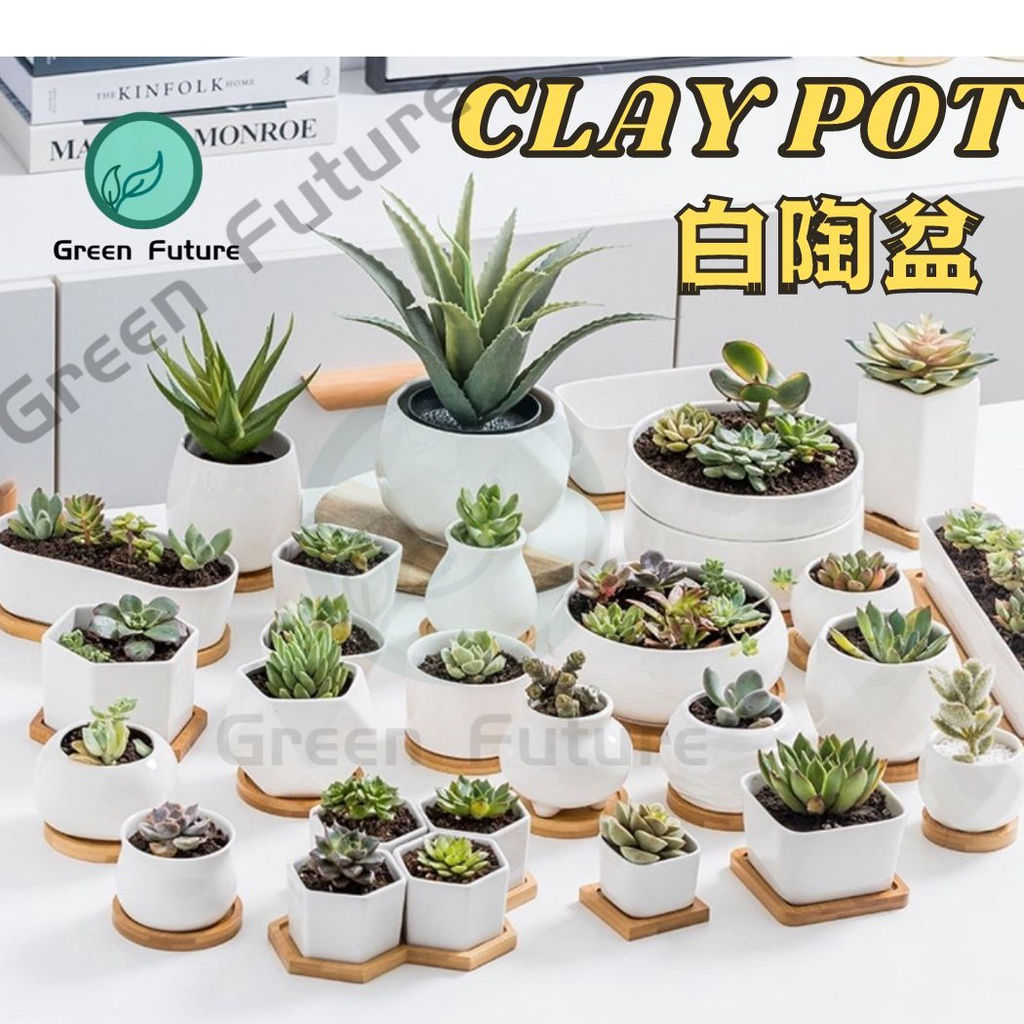 Succulent Pot Cactus Pot Ceramic Pot Zakka Minimalism Planter Pasu Seramik Putih