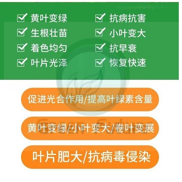 Thumbnail: 免稀释一喷绿 植物营养液 Spray a Green Foliar Fertilizer