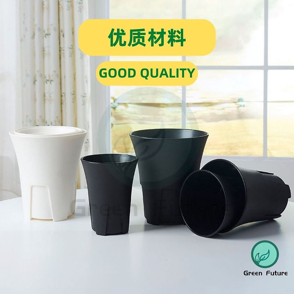 Thumbnail: [READY STOCK] 养多肉植物神器 多肉盆 仙人掌盆 多肉植物盆  MESHPOT SUCCULENTS POT