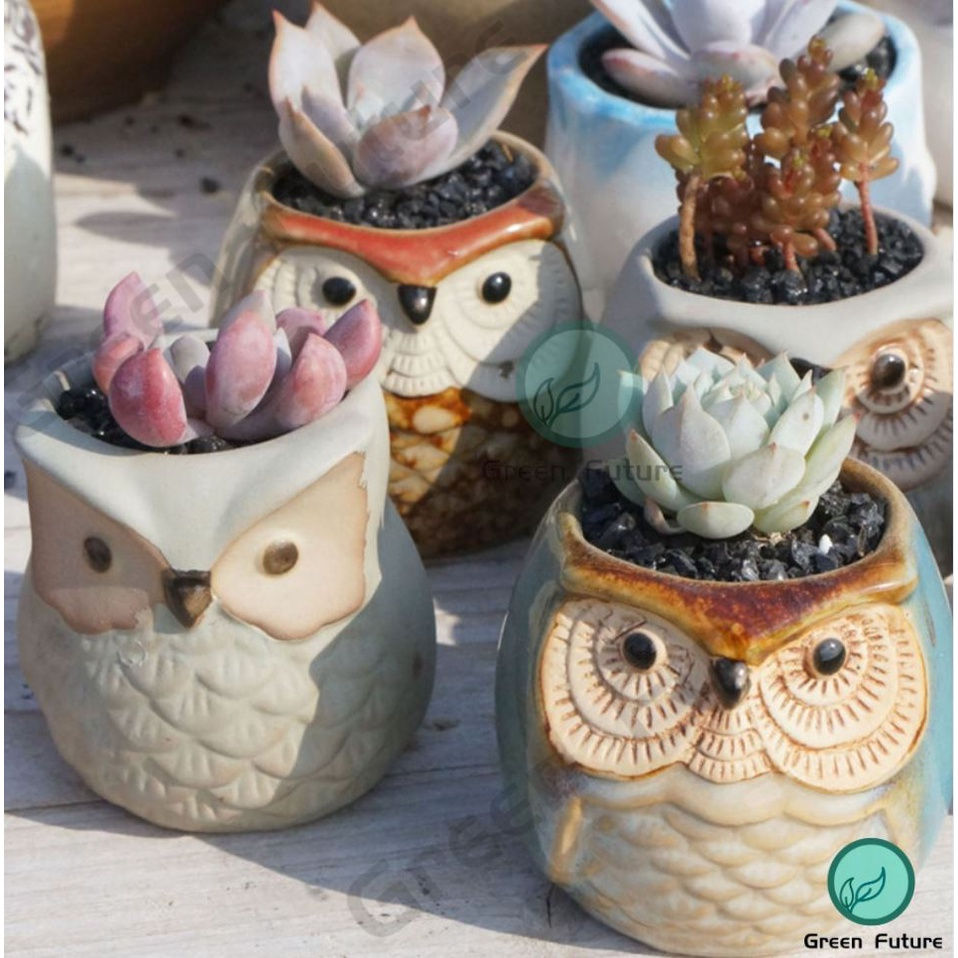 Thumbnail: Succulent Pot Ceramic Pot Zakka Minimalism Planter Pasu Seramik owl 多肉花盆