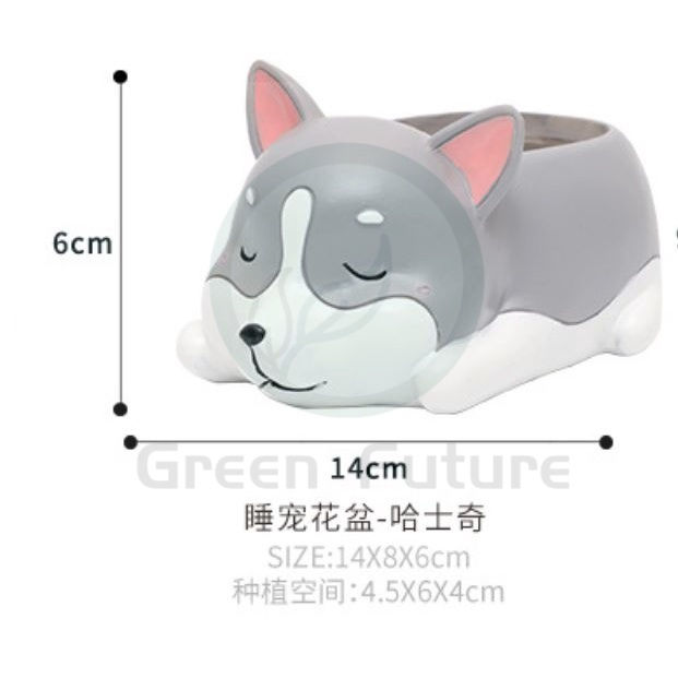 Thumbnail: 柯基犬多肉花盆 办公室桌面树脂盆栽 succulent pot cactus pot corgi succulent flower pot