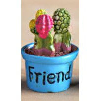 Thumbnail: 瓶装带字仙人掌盆栽摆件 Bottle with words Cactus plant potted
