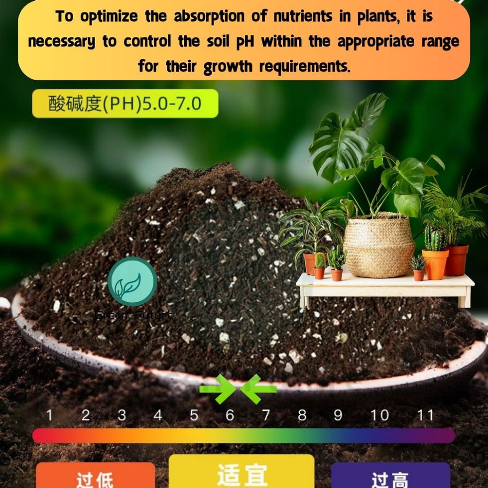 Thumbnail: AROID MIX  Soil Mix for Begonia \ Syngonium \ Anthurium\ Monstera \ Philodendron