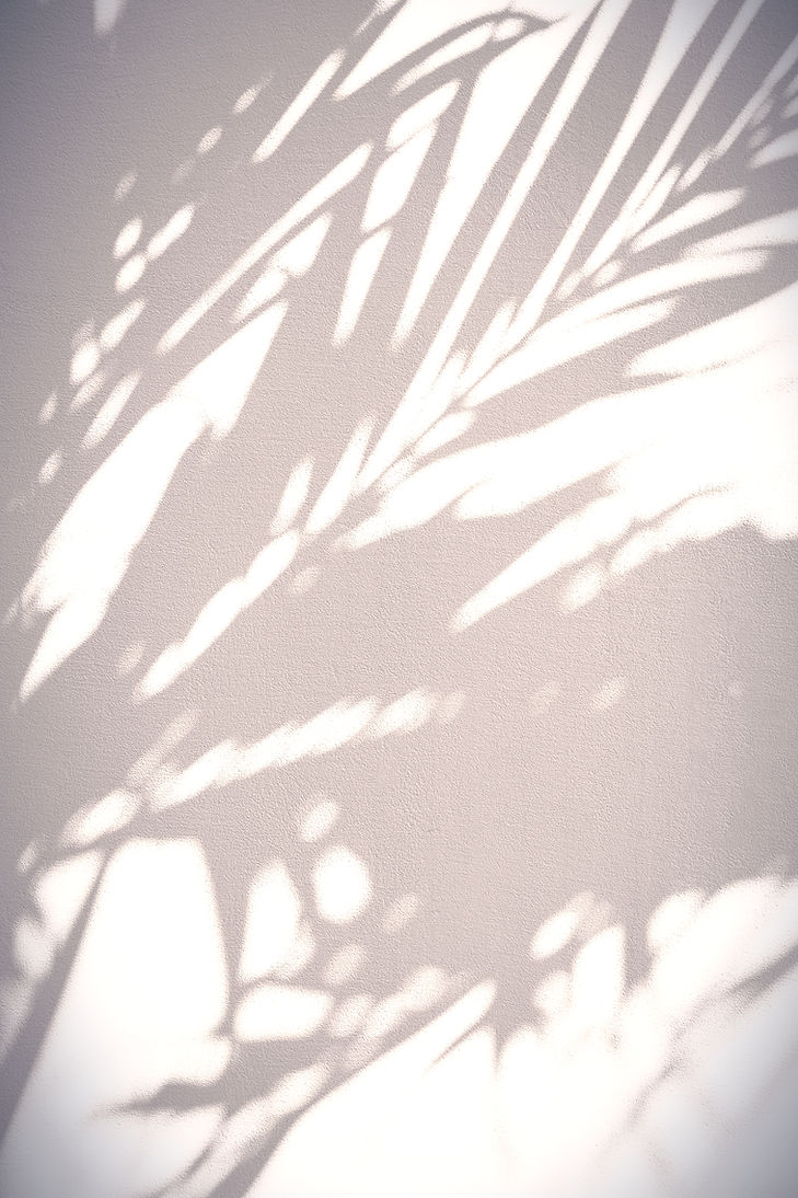 Leaves Shadows_edited_edited_edited.jpg