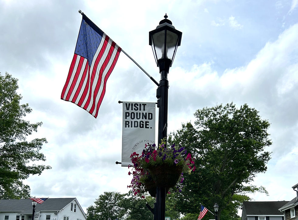 Best Foot Forward: The garden connection