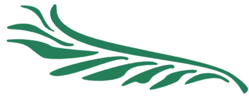 Recorder Round Up, November 2025