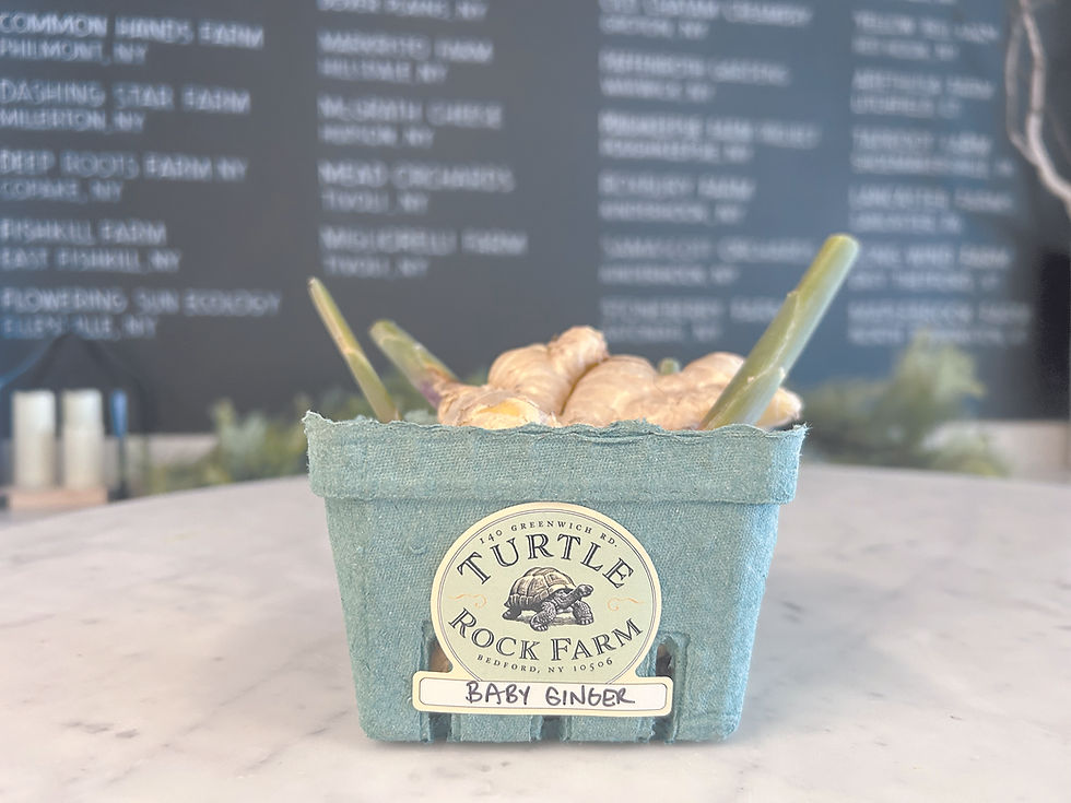 What’s in Season: Ginger from Turtle Rock Farm in Bedford